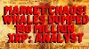 Xrp Market Chaos Analyst Whales Dumped 190 Million Xrp Here S The Truth