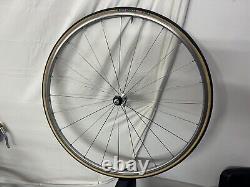 ROUE AVANT CAMPAGNOLO PROTON 24 RAYONS avec NOUVEAU Pneu Vittoria