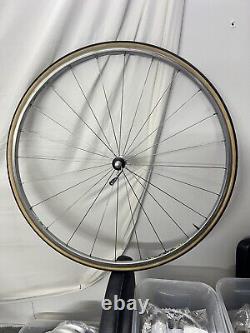 ROUE AVANT CAMPAGNOLO PROTON 24 RAYONS avec NOUVEAU Pneu Vittoria